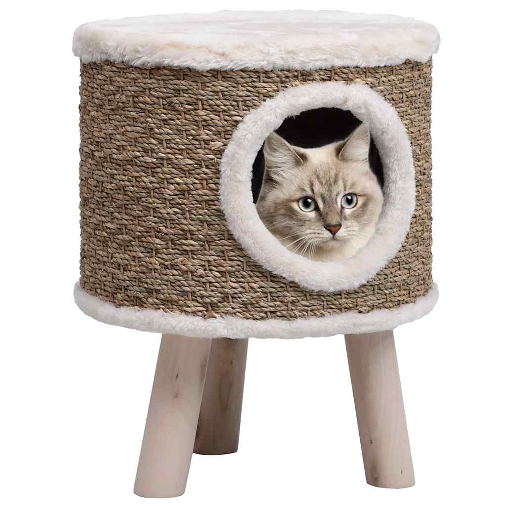 Holz Katzenbaum für Katzen | Mein Haustierbedarf 24